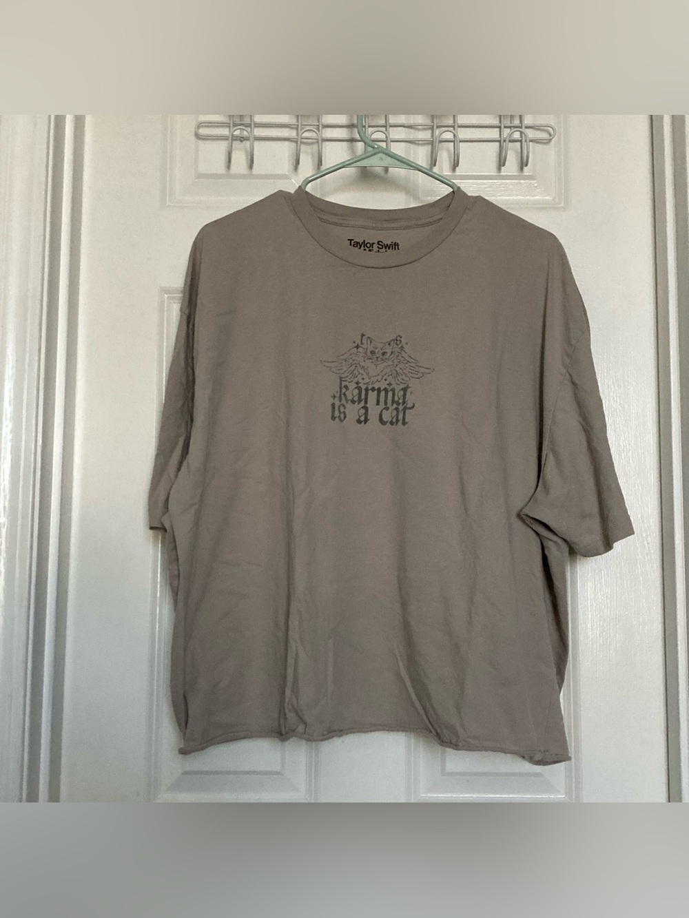 Taylor Swift Karma is a Cat Crop Tee